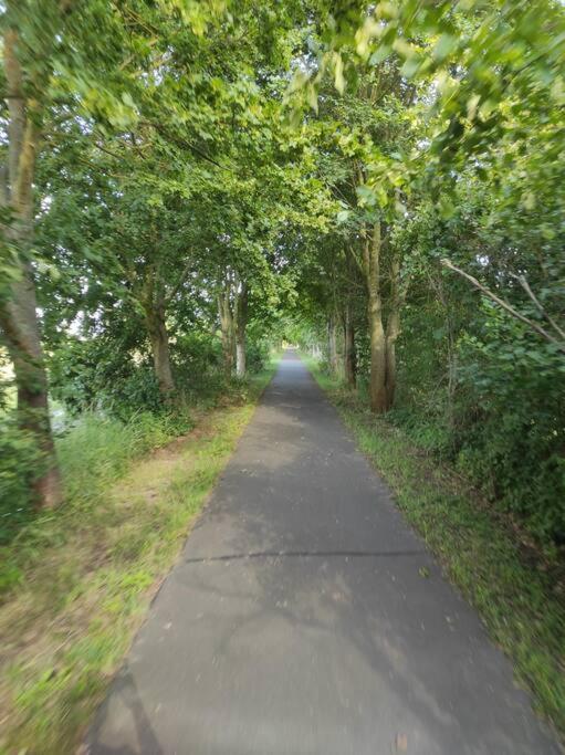 Storchennest - Ferienwohnung Am Storchenradweg Ketzür Εξωτερικό φωτογραφία
