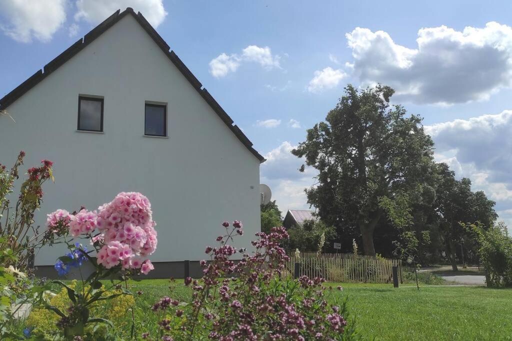 Storchennest - Ferienwohnung Am Storchenradweg Ketzür Εξωτερικό φωτογραφία